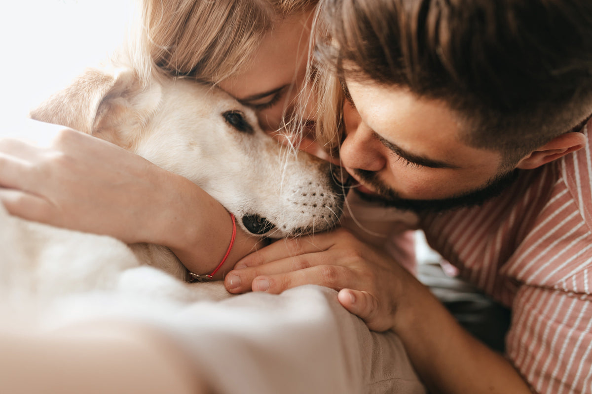 Couple hugging their Labrador before a pet euthanasia guide