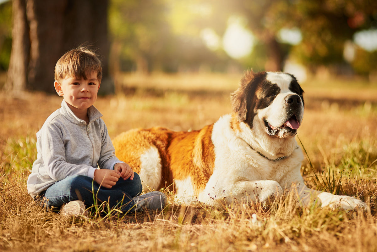Child cuddling a dog outdoors for pet death guidance